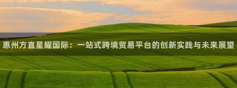 天顺娱乐体育凯捷平台招商：惠州方直星耀国际：一站式跨境贸易平台的创新实践与未来展