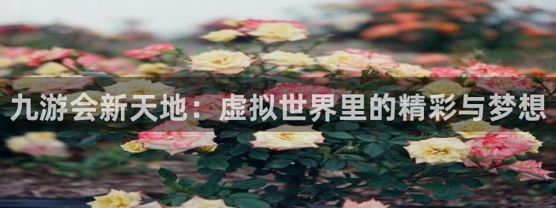 天顺娱乐4注册：九游会新天地：虚拟世界里的精彩与梦想