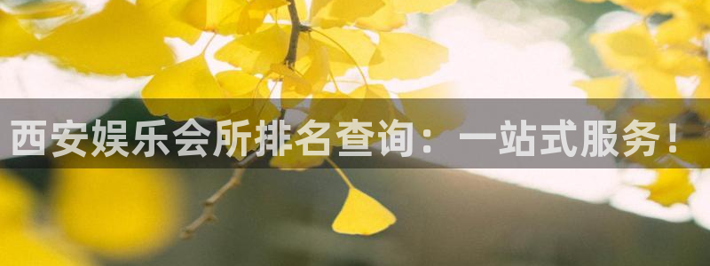 佛山市南海天顺娱乐机电仪器有限公司：西安娱乐会所排名查询：一站式服务！