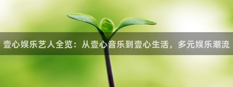 天顺娱乐体育2：壹心娱乐艺人全览：从壹心音乐到壹心生活，多元娱乐潮流