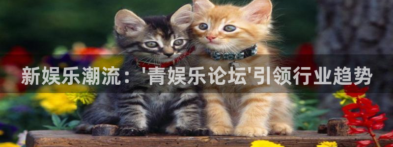 天顺娱乐2平台登录：新娱乐潮流：\'青娱乐论坛\'引领行业趋势