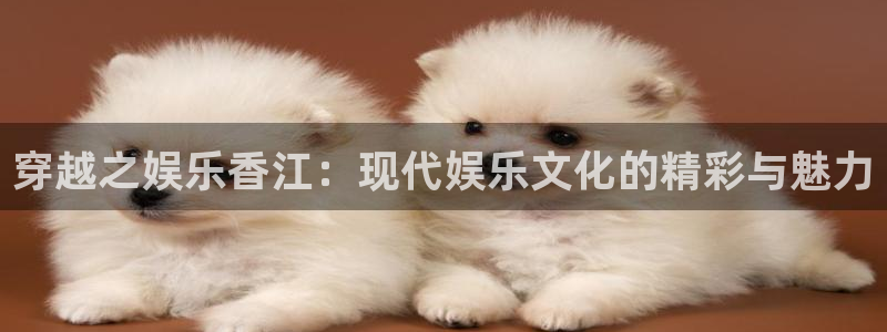 天顺娱乐2代理注册：穿越之娱乐香江：现代娱乐文化的精彩与魅力