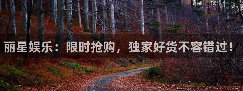 成都天顺娱乐电子有限公司：丽星娱乐：限时抢购，独家好货不容错过！