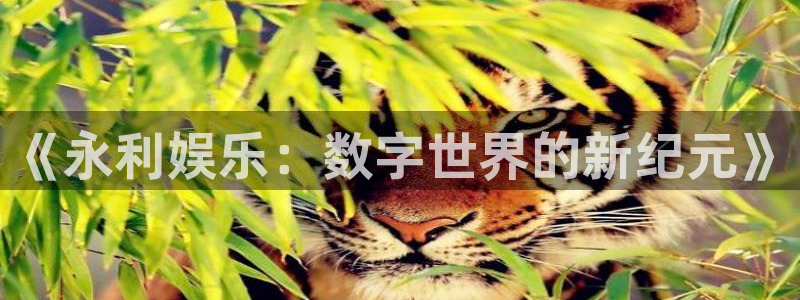 天顺娱乐现在优惠多少：《永利娱乐：数字世界的新纪元》