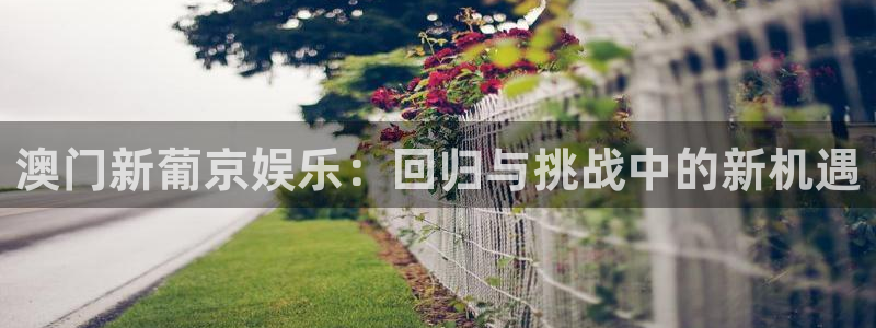 天顺娱乐平台在线开户：澳门新葡京娱乐：回归与挑战中的新机遇