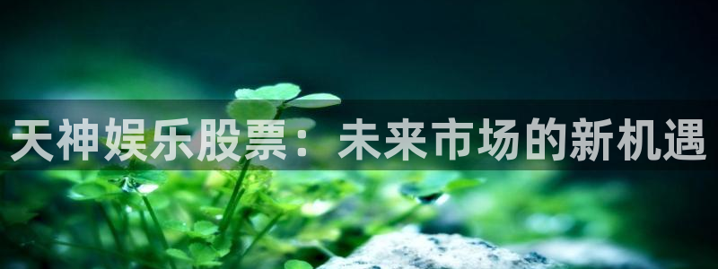天顺娱乐平台主管：天神娱乐股票：未来市场的新机遇