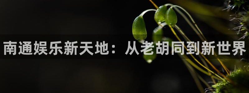 天顺娱乐：南通娱乐新天地：从老胡同到新世界