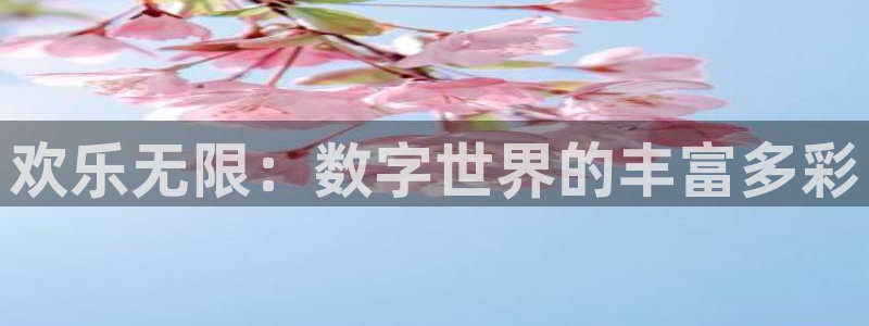 天顺娱乐平台总代理：欢乐无限：数字世界的丰富多彩