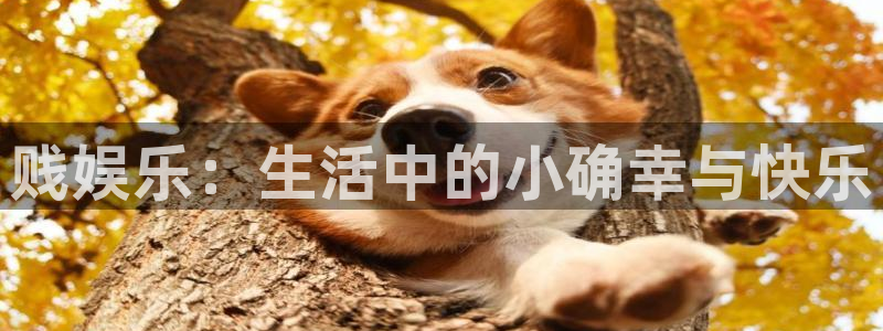 天顺娱乐体育2官网入口：贱娱乐：生活中的小确幸与快乐
