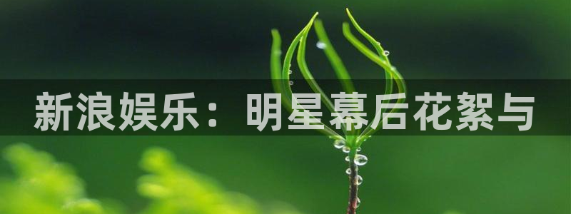 天顺娱乐3：新浪娱乐：明星幕后花絮与