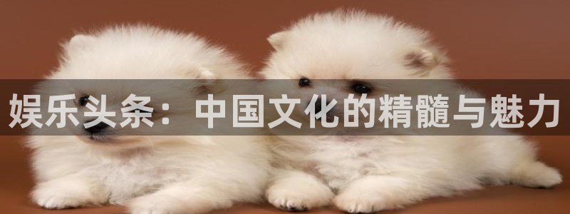 天顺娱乐2代理注册：娱乐头条：中国文化的精髓与魅力
