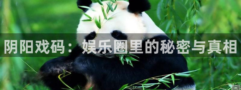 天顺娱乐游戏有哪些好玩的