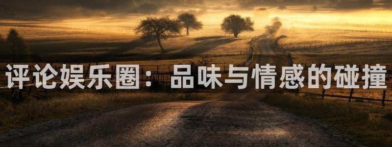 天顺娱乐平台开户链接：评论娱乐圈：品味与情感的碰撞