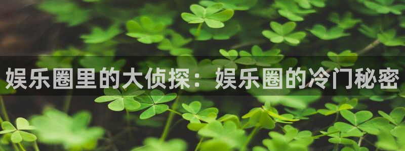 天顺娱乐平台注册：娱乐圈里的大侦探：娱乐圈的冷门秘密