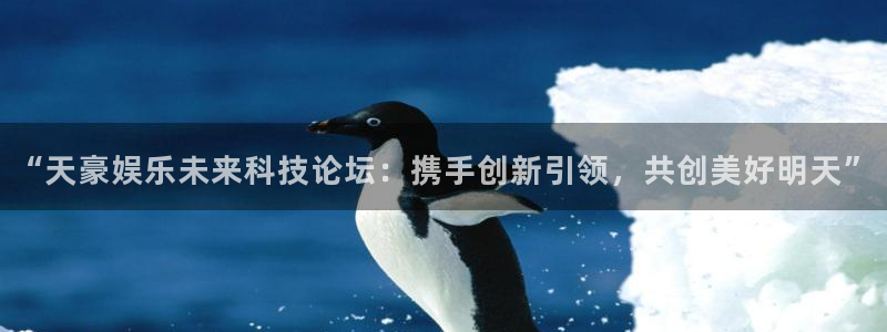 天顺娱乐体育代理：“天豪娱乐未来科技论坛：携手创新引领，共创美好明天”