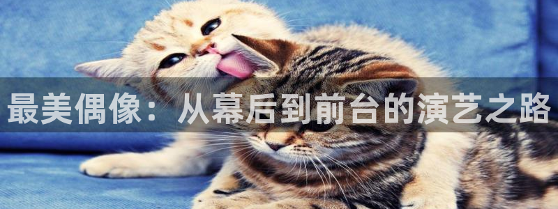 天顺娱乐官网入口：最美偶像：从幕后到前台的演艺之路