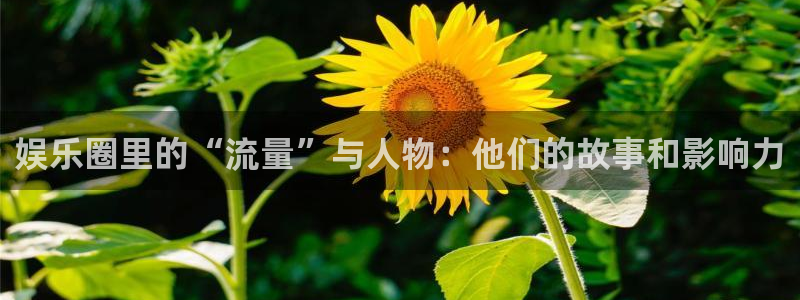天顺娱乐游戏有哪些好玩的：娱乐圈里的“流量”与人物：他们的故事和影响力