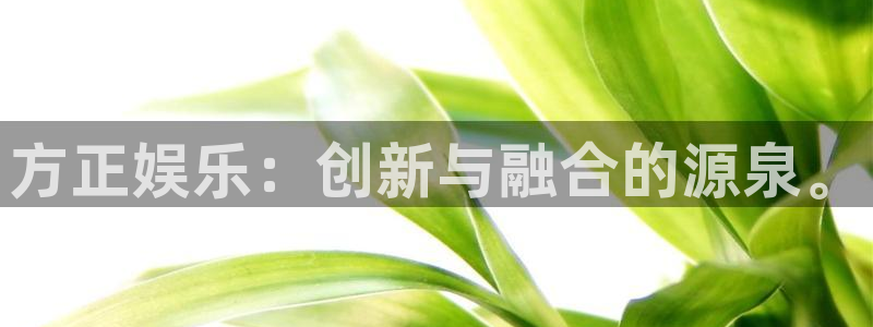 天顺娱乐kgame：方正娱乐：创新与融合的源泉。