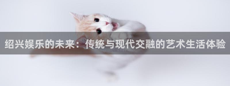 天顺娱乐体育注册：绍兴娱乐的未来：传统与现代交融的艺术生活体验