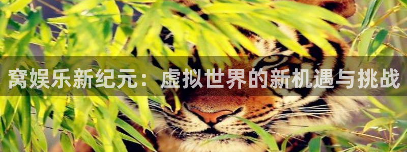 天顺娱乐官网注册：窝娱乐新纪元：虚拟世界的新机遇与挑战