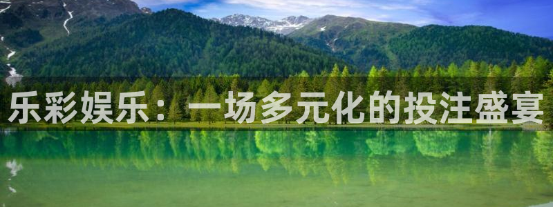 天顺娱乐包怎么样：乐彩娱乐：一场多元化的投注盛宴