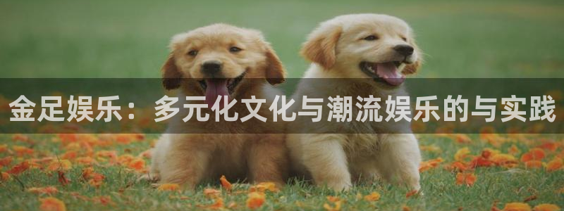 天顺娱乐平台：金足娱乐：多元化文化与潮流娱乐的与实践
