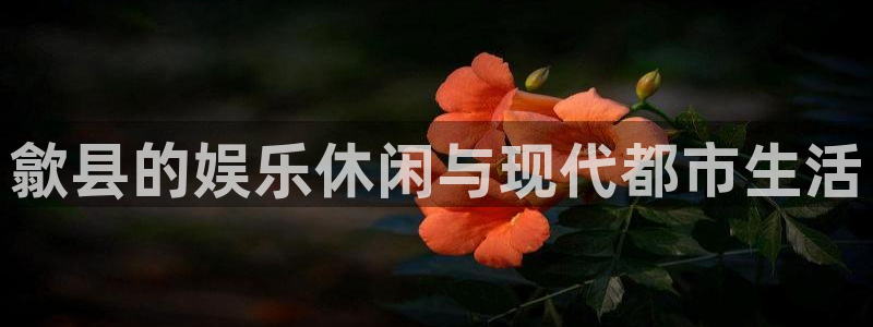 天顺娱乐登录注册：歙县的娱乐休闲与现代都市生活