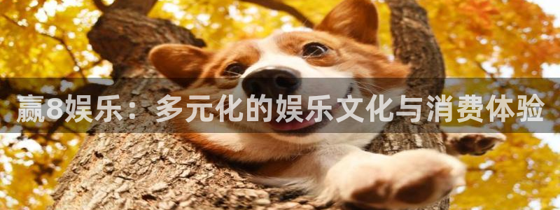 天顺娱乐体育凯捷平台注册：赢8娱乐：多元化的娱乐文化与消费体验