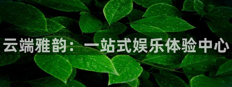 天顺娱乐4注册：云端雅韵：一站式娱乐体验中心